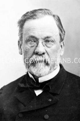 Louis Pasteur: Nhà hóa học người Pháp