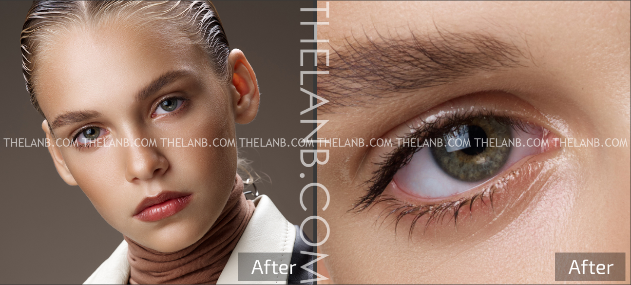 Retouch4me Heal 1.018 / Dodge / Skin Tone for windows download