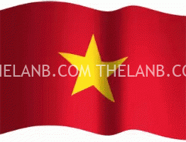 Kết quả hình ảnh cho icon vietnam flag gif