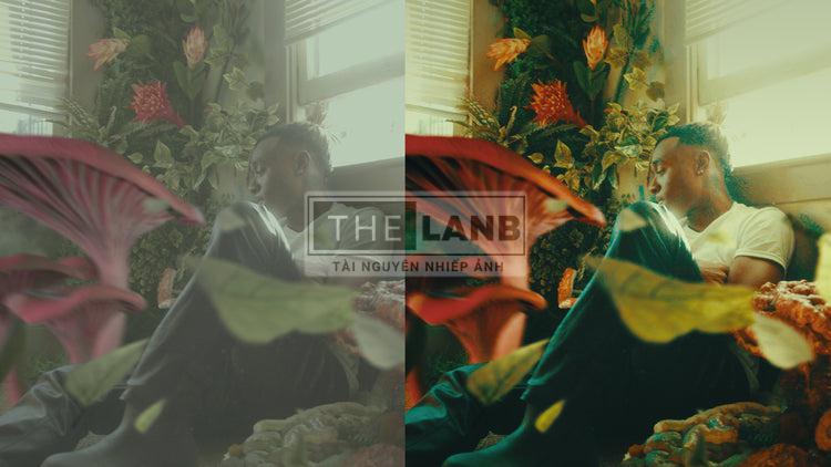 THE ULTIMATE LUT PACK