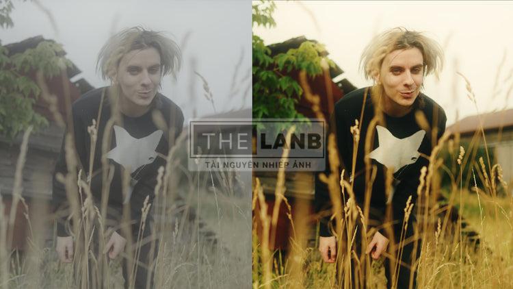 THE ULTIMATE LUT PACK