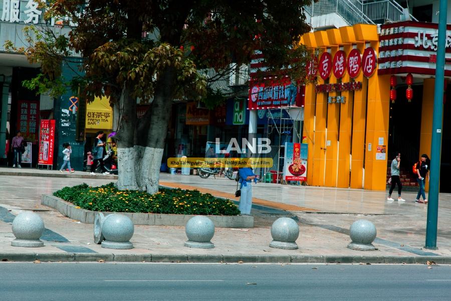 thelanb com 019