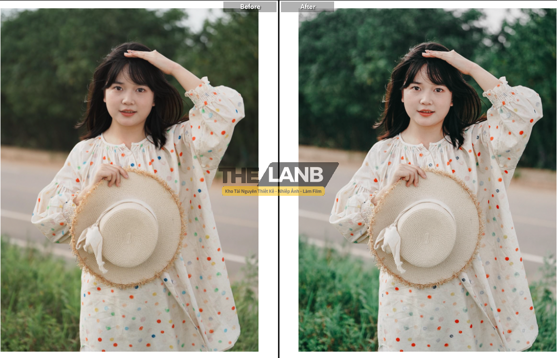 thelanb com anh 1