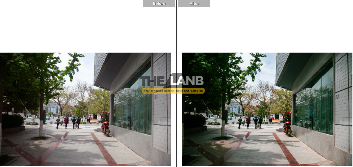 thelanb com anh 21