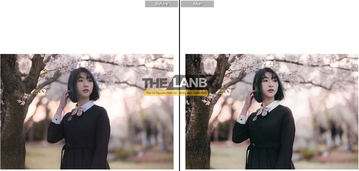 thelanb com anh 4