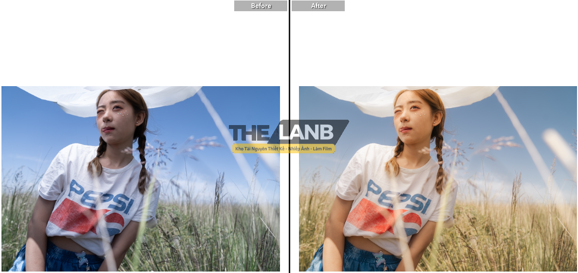 thelanb com anh 5
