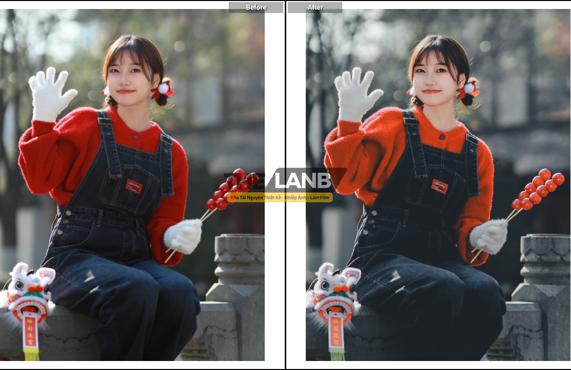 thelanb com anh