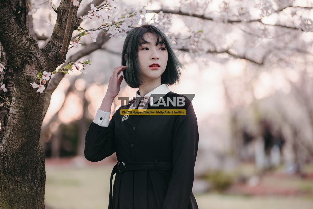 thelanb com 第十一课 练习原图