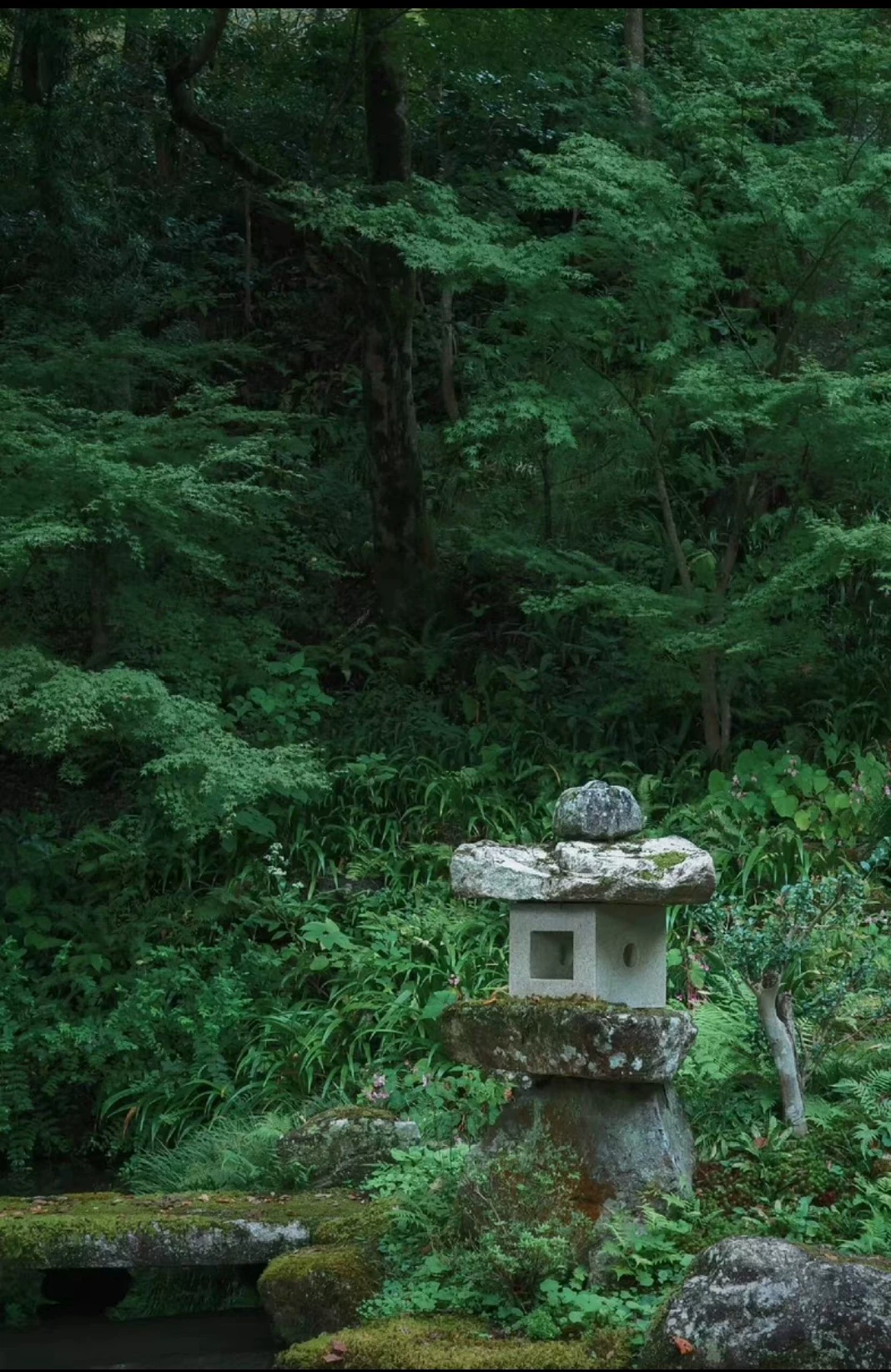 thelanb com Thelanb.com 11