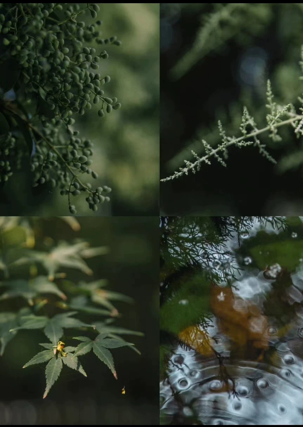 thelanb com Thelanb.com 12