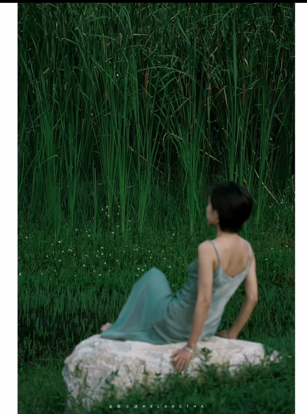 thelanb com Thelanb.com 8