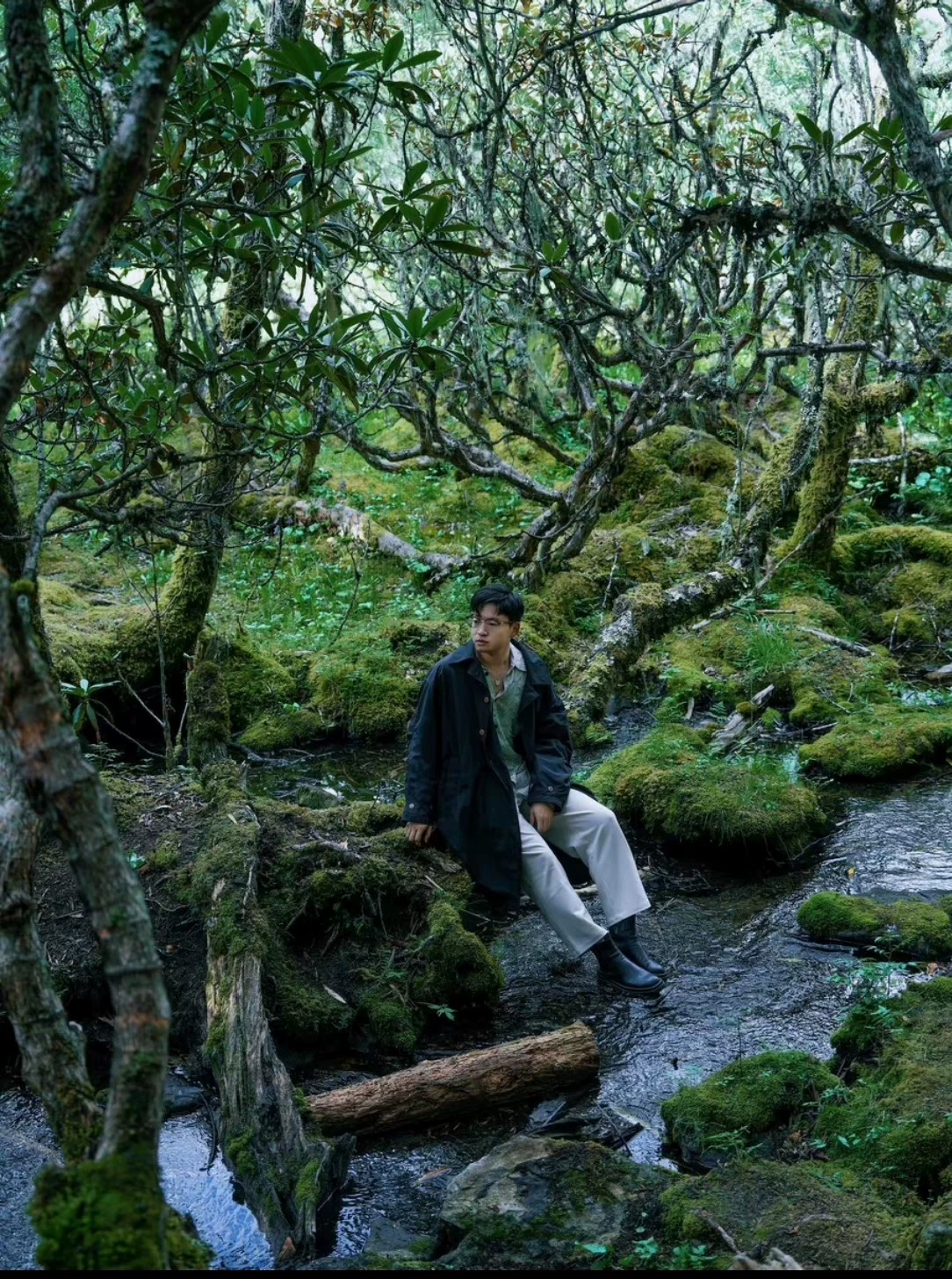 thelanb com Thelanb.com 9