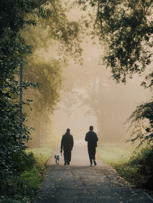 thelanb com IMG 0231.jpg