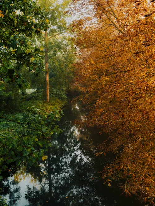 thelanb com IMG 0236.jpg