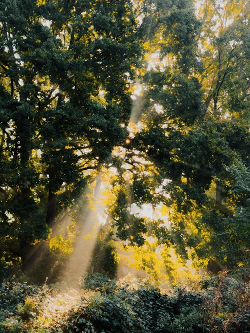 thelanb com IMG 0268.jpg