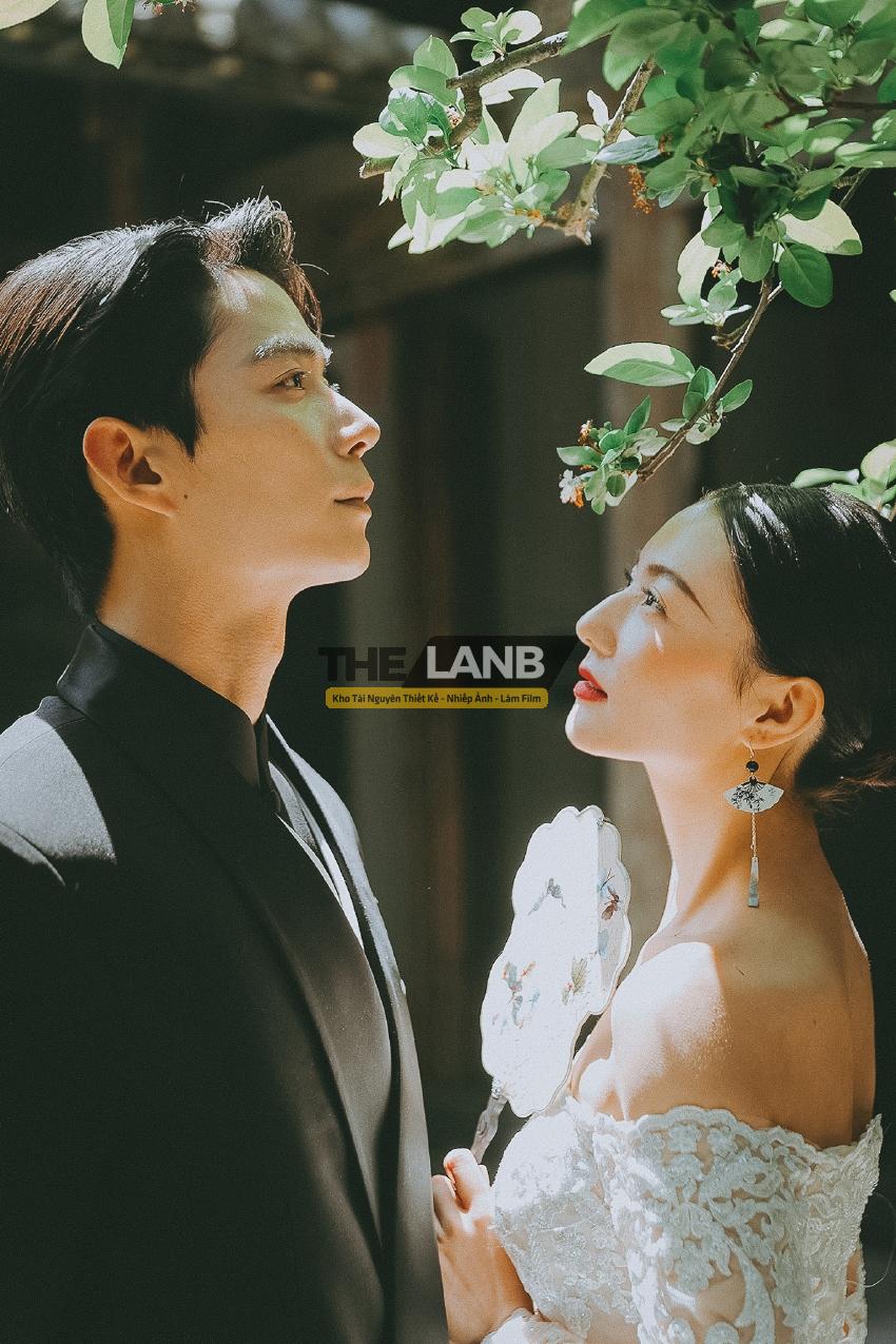 thelanb com preset trung quoc 8