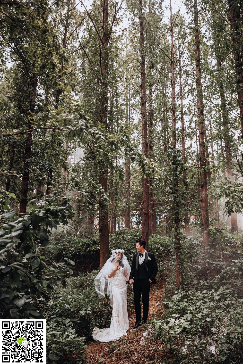 thelanb com BQ8I7031 web