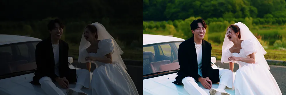 thelanb com 绿植胶片.ARW 绿植胶片 web collage