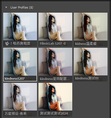 Bộ Sưu Tập Preset Và Cấu Hình Màu Khải Niệm - Giả Lập Màu Phim Điện Ảnh Hoài Cổ (XMP) 17 thelanb com anh 64