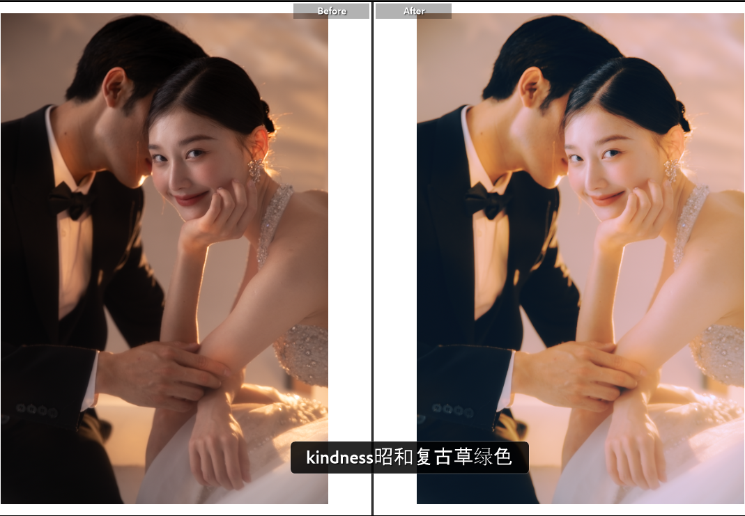 Bộ Sưu Tập Preset Và Cấu Hình Màu Khải Niệm - Giả Lập Màu Phim Điện Ảnh Hoài Cổ (XMP) 30 thelanb com anh 76